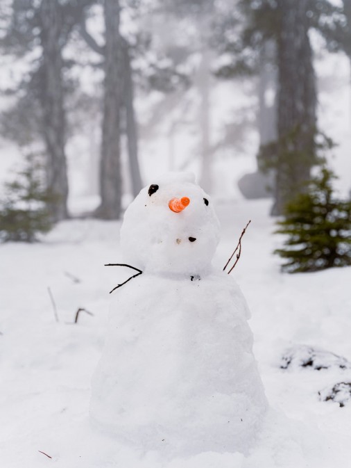 Schneemann