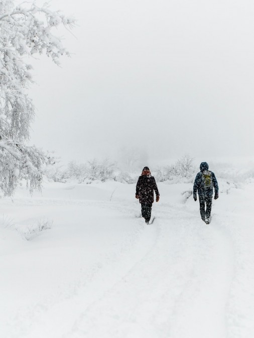 Winterwandern