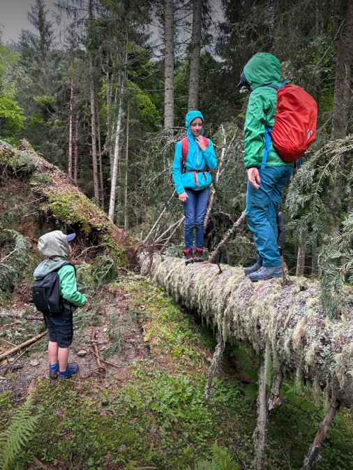 Entdeckungsspaziergang im Neuberger Wald
